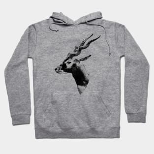 Blackbuck Hoodie